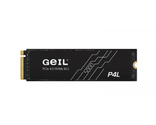 Винчестер SSD GEIL, 1000 Gb, P4LFD23C1TBD P4L M.2 2280 PCI-E R5300MB/s W4900MB/s