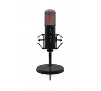 Микрофон Ritmix RDM-260 Eloquence,  конденсаторный,  32 Ом,  30-18000 Гц,  -36 дБ,  RGB подсветка,  USB,  д