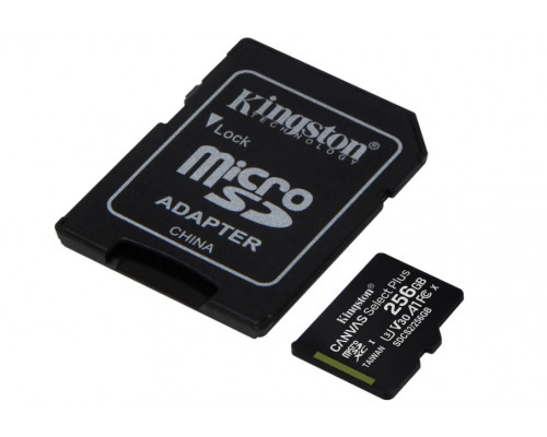 Флеш-карта Kingston, Micro SDHC Class10, 256 Gb, SDCS2/256GB + адаптер