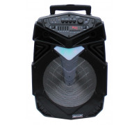 Колонка портативная Meirende MR-V15 Black,  Wireless Speaker,  Пульт,  2 Микрофона,  Bluetooth,  FM радио