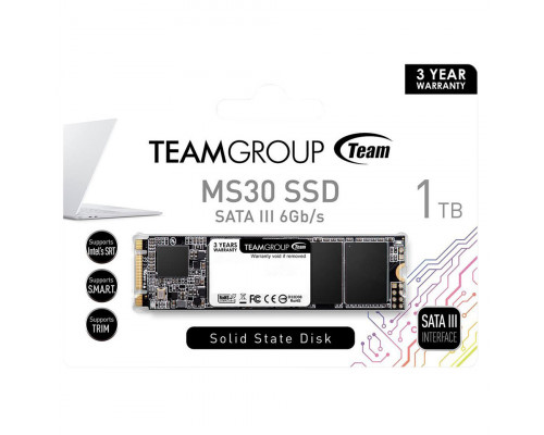 Винчестер SSD Team Group MS30, 1TB, M2, R530 Mb/s, W480 Mb/s, TM8PS7001T0C101